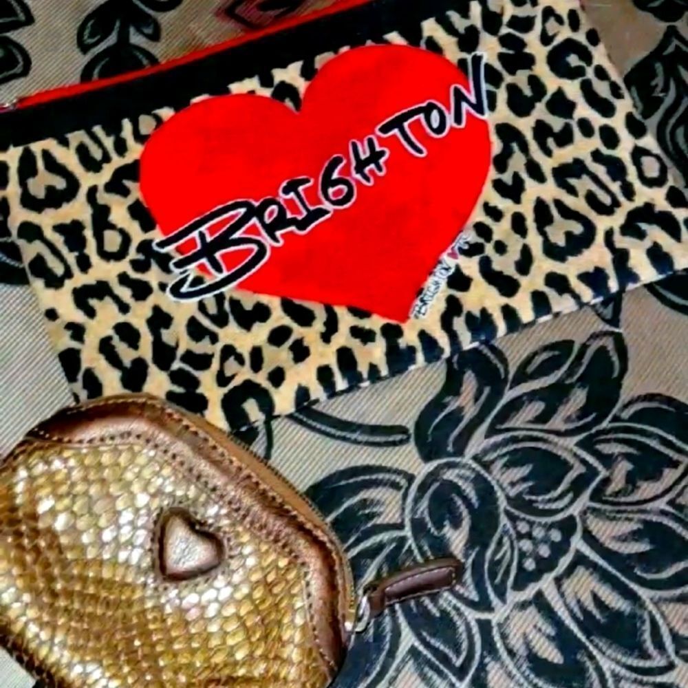 Brighton makeup bag NWOT